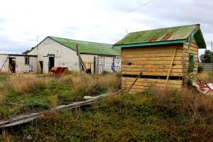 Abandoned Knackery - In 2012 the Coalition for the Protection of Racehorses exposed the barbaric practices of the Laverton Knackery where thousands of horses as well as goats and other animals were shot and sold as pet food ( https://youtu.be/D5quRrEsoYc ). As usual, the supposed 'animal welfare' authorities failed to do anything but scandals continued to plague the business and it gradually ground to a halt in 2017. What remains today is the abandoned buildings and pens, overgrown with weeds, trashed by vandals, and macabre remnants of the animals who once endured this hell. May all slaughterhouses soon be nothing more than abandoned buildings. - Captured at Laverton Knackery, Truganina VIC Australia.