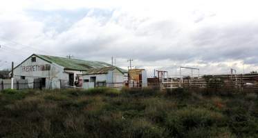 Abandoned Knackery - In 2012 the Coalition for the Protection of Racehorses exposed the barbaric practices of the Laverton Knackery where thousands of horses as well as goats and other animals were shot and sold as pet food ( https://youtu.be/D5quRrEsoYc ). As usual, the supposed 'animal welfare' authorities failed to do anything but scandals continued to plague the business and it gradually ground to a halt in 2017. What remains today is the abandoned buildings and pens, overgrown with weeds, trashed by vandals, and macabre remnants of the animals who once endured this hell. May all slaughterhouses soon be nothing more than abandoned buildings. - Captured at Laverton Knackery, Truganina VIC Australia.