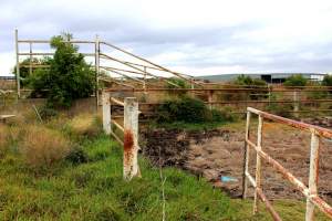 Abandoned Knackery - In 2012 the Coalition for the Protection of Racehorses exposed the barbaric practices of the Laverton Knackery where thousands of horses as well as goats and other animals were shot and sold as pet food ( https://youtu.be/D5quRrEsoYc ). As usual, the supposed 'animal welfare' authorities failed to do anything but scandals continued to plague the business and it gradually ground to a halt in 2017. What remains today is the abandoned buildings and pens, overgrown with weeds, trashed by vandals, and macabre remnants of the animals who once endured this hell. May all slaughterhouses soon be nothing more than abandoned buildings. - Captured at Laverton Knackery, Truganina VIC Australia.