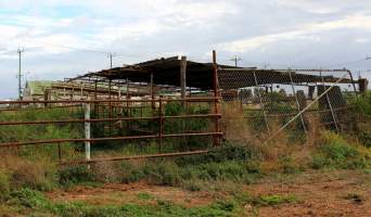 Abandoned Knackery - In 2012 the Coalition for the Protection of Racehorses exposed the barbaric practices of the Laverton Knackery where thousands of horses as well as goats and other animals were shot and sold as pet food ( https://youtu.be/D5quRrEsoYc ). As usual, the supposed 'animal welfare' authorities failed to do anything but scandals continued to plague the business and it gradually ground to a halt in 2017. What remains today is the abandoned buildings and pens, overgrown with weeds, trashed by vandals, and macabre remnants of the animals who once endured this hell. May all slaughterhouses soon be nothing more than abandoned buildings. - Captured at Laverton Knackery, Truganina VIC Australia.