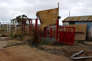 Abandoned Knackery - In 2012 the Coalition for the Protection of Racehorses exposed the barbaric practices of the Laverton Knackery where thousands of horses as well as goats and other animals were shot and sold as pet food ( https://youtu.be/D5quRrEsoYc ). As usual, the supposed 'animal welfare' authorities failed to do anything but scandals continued to plague the business and it gradually ground to a halt in 2017. What remains today is the abandoned buildings and pens, overgrown with weeds, trashed by vandals, and macabre remnants of the animals who once endured this hell. May all slaughterhouses soon be nothing more than abandoned buildings. - Captured at Laverton Knackery, Truganina VIC Australia.