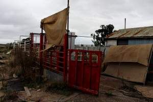 Abandoned Knackery - In 2012 the Coalition for the Protection of Racehorses exposed the barbaric practices of the Laverton Knackery where thousands of horses as well as goats and other animals were shot and sold as pet food ( https://youtu.be/D5quRrEsoYc ). As usual, the supposed 'animal welfare' authorities failed to do anything but scandals continued to plague the business and it gradually ground to a halt in 2017. What remains today is the abandoned buildings and pens, overgrown with weeds, trashed by vandals, and macabre remnants of the animals who once endured this hell. May all slaughterhouses soon be nothing more than abandoned buildings. - Captured at Laverton Knackery, Truganina VIC Australia.