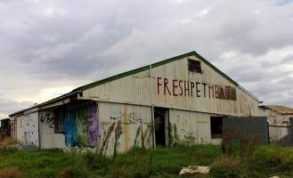 Abandoned Knackery - In 2012 the Coalition for the Protection of Racehorses exposed the barbaric practices of the Laverton Knackery where thousands of horses as well as goats and other animals were shot and sold as pet food ( https://youtu.be/D5quRrEsoYc ). As usual, the supposed 'animal welfare' authorities failed to do anything but scandals continued to plague the business and it gradually ground to a halt in 2017. What remains today is the abandoned buildings and pens, overgrown with weeds, trashed by vandals, and macabre remnants of the animals who once endured this hell. May all slaughterhouses soon be nothing more than abandoned buildings. - Captured at Laverton Knackery, Truganina VIC Australia.