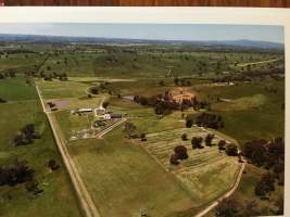 Captured at Canya Greyhound Complex, Molong NSW Australia.