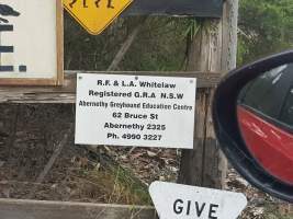 Captured at Abernethy Greyhound Education Centre, Abernethy NSW Australia.