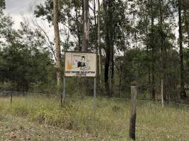 Captured at Abernethy Greyhound Education Centre, Abernethy NSW Australia.