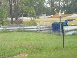 Captured at Abernethy Greyhound Education Centre, Abernethy NSW Australia.