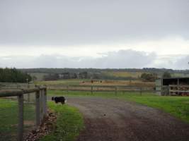 PoultryFarmsAustralia.com.au listing photo - http://www.poultryfarmsaustralia.com.au/property-past-details/vic/moorooduc/81.html - Captured at Former Barmos broiler farm, Moorooduc VIC Australia.