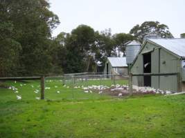 PoultryFarmsAustralia.com.au listing photo - http://www.poultryfarmsaustralia.com.au/property-past-details/vic/moorooduc/81.html - Captured at Former Barmos broiler farm, Moorooduc VIC Australia.