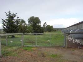 PoultryFarmsAustralia.com.au listing photo - http://www.poultryfarmsaustralia.com.au/property-past-details/vic/moorooduc/81.html - Captured at Former Barmos broiler farm, Moorooduc VIC Australia.