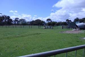 PoultryFarmsAustralia.com.au listing photo - http://www.poultryfarmsaustralia.com.au/property-past-details/vic/moorooduc/128.html - Captured at GM & SM Yates - layer pullet farm, Moorooduc VIC Australia.