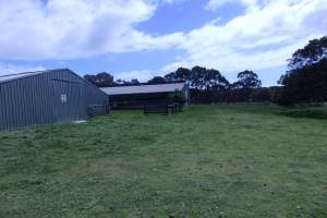 PoultryFarmsAustralia.com.au listing photo - http://www.poultryfarmsaustralia.com.au/property-past-details/vic/moorooduc/128.html - Captured at GM & SM Yates - layer pullet farm, Moorooduc VIC Australia.