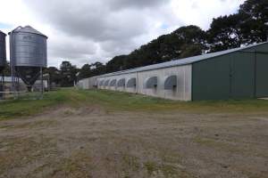 PoultryFarmsAustralia.com.au listing photo - http://www.poultryfarmsaustralia.com.au/property-past-details/vic/moorooduc/128.html - Captured at GM & SM Yates - layer pullet farm, Moorooduc VIC Australia.