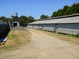 PoultryFarmsAustralia.com.au listing photo - http://www.poultryfarmsaustralia.com.au/property-past-details/vic/nyora/22.html - Captured at Tigman broiler farm, Loch VIC Australia.