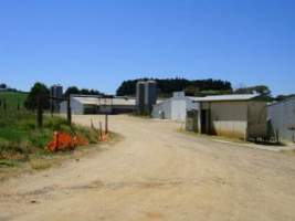 PoultryFarmsAustralia.com.au listing photo - http://www.poultryfarmsaustralia.com.au/property-past-details/vic/nyora/22.html - Captured at Tigman broiler farm, Loch VIC Australia.