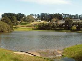 PoultryFarmsAustralia.com.au listing photo - http://www.poultryfarmsaustralia.com.au/property-past-details/vic/red-hill/30.html - Captured at RJ & JT Mace, Main Ridge VIC Australia.