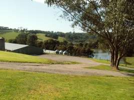 PoultryFarmsAustralia.com.au listing photo - http://www.poultryfarmsaustralia.com.au/property-past-details/vic/red-hill/30.html - Captured at RJ & JT Mace, Main Ridge VIC Australia.