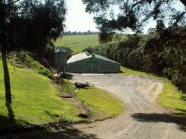 PoultryFarmsAustralia.com.au listing photo - http://www.poultryfarmsaustralia.com.au/property-past-details/vic/red-hill/30.html - Captured at RJ & JT Mace, Main Ridge VIC Australia.