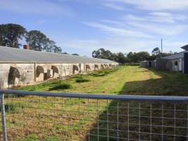 PoultryFarmsAustralia.com.au listing photo - http://www.poultryfarmsaustralia.com.au/property-past-details/vic/somerville/82.html - Captured at Merryck Farm, Somerville VIC Australia.