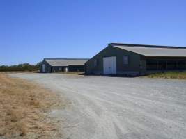 PoultryFarmsAustralia.com.au listing photo - http://www.poultryfarmsaustralia.com.au/property-past-details/vic/somerville-/74.html - Captured at Unknown broiler farm, Somerville VIC Australia.