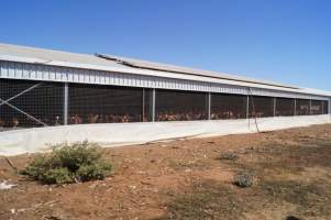 PoultryFarmsAustralia.com.au listing photo - http://www.poultryfarmsaustralia.com.au/property-past-details/vic/tresco-west/79.html - Captured at Free range egg farm, Tresco West VIC Australia.