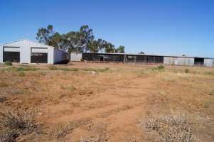 PoultryFarmsAustralia.com.au listing photo - http://www.poultryfarmsaustralia.com.au/property-past-details/vic/tresco-west/79.html - Captured at Free range egg farm, Tresco West VIC Australia.