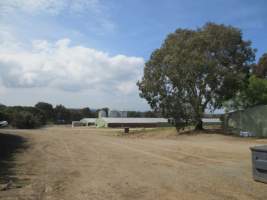 PoultryFarmsAustralia.com.au listing photo - http://www.poultryfarmsaustralia.com.au/property-past-details/vic/tyabb--hastings/66.html - Captured at Unknown broiler farm, Hastings VIC Australia.