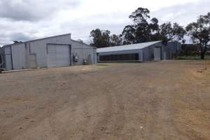 PoultryFarmsAustralia.com.au listing photo - http://www.poultryfarmsaustralia.com.au/property-details/vic/freshwater-creek/140.html - Captured at RSPCA-approved broiler farm, Freshwater Creek VIC Australia.