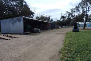 PoultryFarmsAustralia.com.au listing photo - http://www.poultryfarmsaustralia.com.au/property-details/vic/freshwater-creek/140.html - Captured at RSPCA-approved broiler farm, Freshwater Creek VIC Australia.