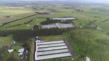 Drone flyover - Captured at Purga Breeder Farms 1-3, Purga QLD Australia.