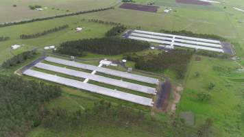 Drone flyover - Captured at Purga Breeder Farms 1-3, Purga QLD Australia.