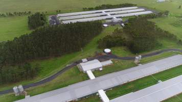 Drone flyover - Captured at Purga Breeder Farms 1-3, Purga QLD Australia.