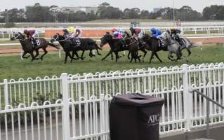 Rosehill Racecourse - Chautauqua - Captured at Rosehill Racecourse, Rosehill NSW Australia.