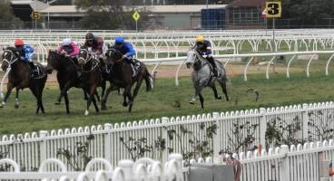 Rosehill Racecourse - Chautauqua - Captured at Rosehill Racecourse, Rosehill NSW Australia.