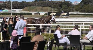 Royal Randwick Racecourse - Racegoers pose for photographs in front of exhausted, stressed horses after a race. - Captured at Royal Randwick Racecourse, Randwick NSW Australia.