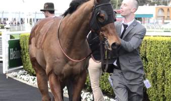 Royal Randwick Racecourse - Only one of them is enjoying this. - Captured at Royal Randwick Racecourse, Randwick NSW Australia.