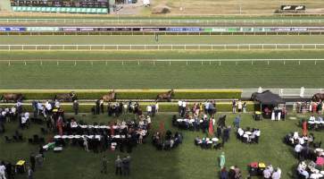 Royal Randwick Racecourse - Horses are led back to the raceday stables after competing. - Captured at Royal Randwick Racecourse, Randwick NSW Australia.