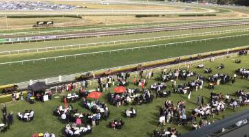 Royal Randwick Racecourse - Horses are led back to the raceday stables after competing. - Captured at Royal Randwick Racecourse, Randwick NSW Australia.