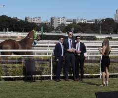 Royal Randwick Racecourse - Racegoers pose for photographs in front of exhausted, stressed horses after a race. - Captured at Royal Randwick Racecourse, Randwick NSW Australia.