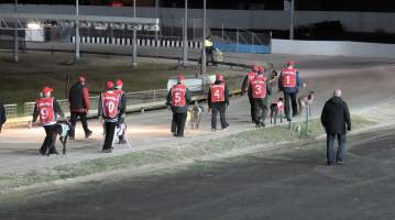 Bulli Greyhounds - Captured at Bulli Greyhounds, Bulli NSW Australia.