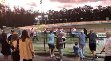 Gosford Greyhounds - Greyhounds in the stir up area before a race. - Captured at Gosford Greyhounds, Gosford NSW Australia.