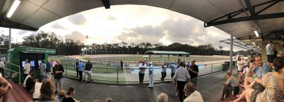 Gosford Greyhounds - Captured at Gosford Greyhounds, Gosford NSW Australia.