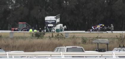 Rosehill Racecourse - Chautauqua refusing to jump from the gates. - Captured at Rosehill Racecourse, Rosehill NSW Australia.