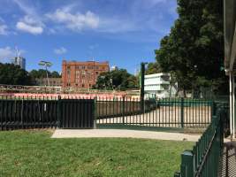 Stir up area and catching pen. - Captured at Wentworth Park, Glebe NSW Australia.