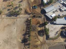 Aerial drone view of slaughterhouse - Captured at Wodonga Abattoir, Wodonga VIC Australia.