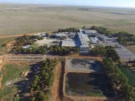 Aerial drone view of slaughterhouse - Captured at Primo Port Wakefield Abattoir, Port Wakefield SA Australia.