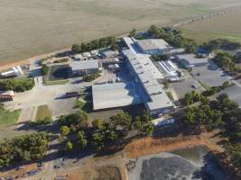 Aerial drone view of slaughterhouse - Captured at Primo Port Wakefield Abattoir, Port Wakefield SA Australia.