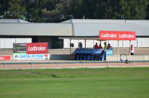 Greyhound Racing - Captured at Maitland Greyhounds, South Maitland NSW Australia.