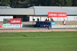 Greyhound Racing - Captured at Maitland Greyhounds, South Maitland NSW Australia.