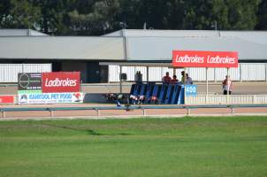 Greyhound Racing - Captured at Maitland Greyhounds, South Maitland NSW Australia.